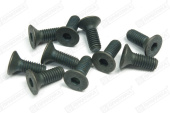 Винт Professional Spares 584826 (6х16мм, 10 шт.)