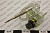 Термостат Kocateq YXD1A/4A safety thermostat