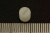 54855_2