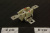 54984_1 54984_1