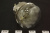 54705_3 54705_3