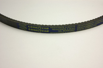 66445_4