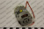 45061_4 45061_4