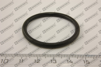 54940_1