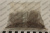 15745_1 15745_1
