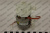 45061_1 45061_1